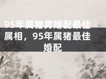 95年属猪男婚配最佳属相,95年属猪最佳婚配