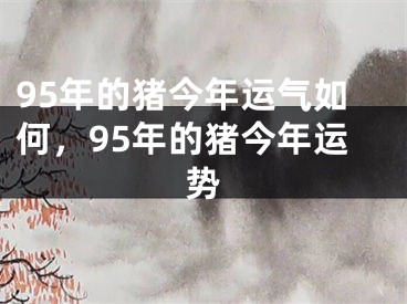 95年的猪今年运气如何,95年的猪今年运势