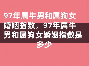 97年属牛男和属狗女婚姻指数,97年属牛男和属狗女婚姻指数是多少
