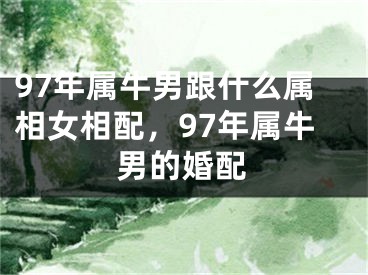 97年属牛男跟什么属相女相配,97年属牛男的婚配