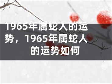 1965年属蛇人的运势，1965年属蛇人的运势如何