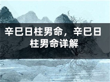 辛巳日柱男命，辛巳日柱男命详解