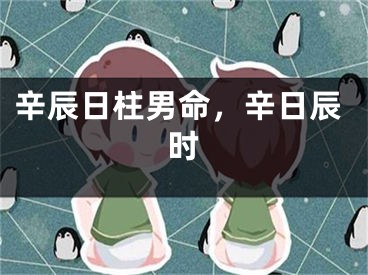 辛辰日柱男命，辛日辰时