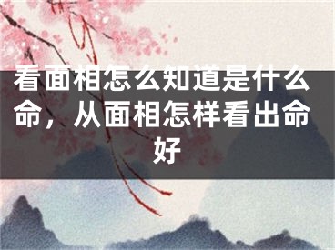 看面相怎么知道是什么命，从面相怎样看出命好
