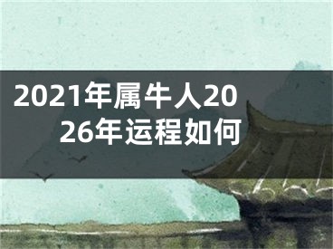 2021年属牛人2026年运程如何