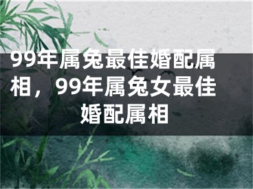 99年属兔最佳婚配属相，99年属兔女最佳婚配属相