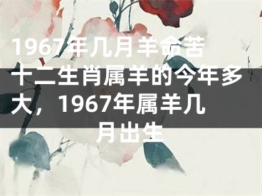 1967年几月羊命苦十二生肖属羊的今年多大，1967年属羊几月出生