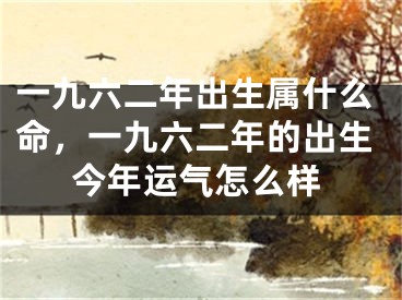 一九六二年出生属什么命,一九六二年的出生今年运气怎么样