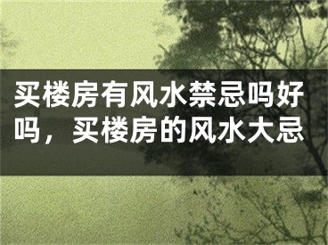 买楼房有风水禁忌吗好吗,买楼房的风水大忌