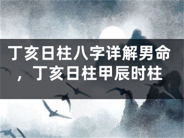 丁亥日柱八字详解男命，丁亥日柱甲辰时柱