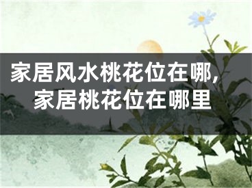 家居风水桃花位在哪,家居桃花位在哪里