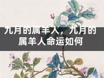 九月的属羊人，九月的属羊人命运如何