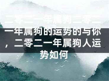 二零二一年属狗二零二一年属狗的运势的与你,二零二一年属狗人运势如何
