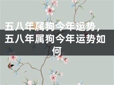 五八年属狗今年运势,五八年属狗今年运势如何