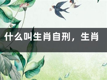 什么叫生肖自刑,生肖