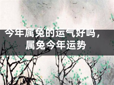 今年属兔的运气好吗，属兔今年运势