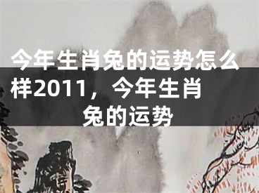 今年生肖兔的运势怎么样2011,今年生肖兔的运势