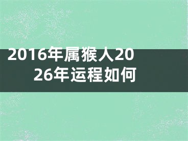 2016年属猴人2026年运程如何