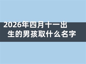 2026年四月十一出生的男孩取什么名字