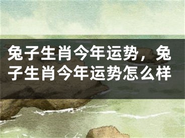 兔子生肖今年运势,兔子生肖今年运势怎么样