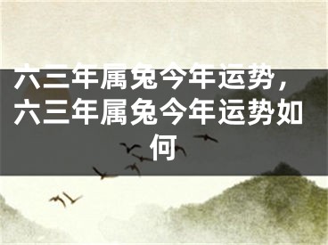 六三年属兔今年运势，六三年属兔今年运势如何