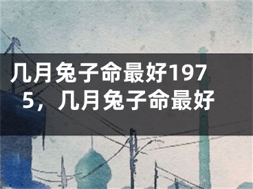 几月兔子命最好1975，几月兔子命最好