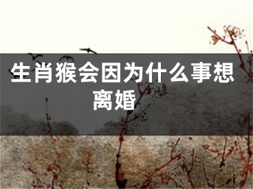 生肖猴会因为什么事想离婚 
