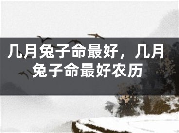 几月兔子命最好，几月兔子命最好农历