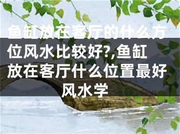 鱼缸放在客厅的什么方位风水比较好?,鱼缸放在客厅什么位置最好 风水学