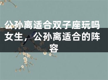 公孙离适合双子座玩吗女生，公孙离适合的阵容