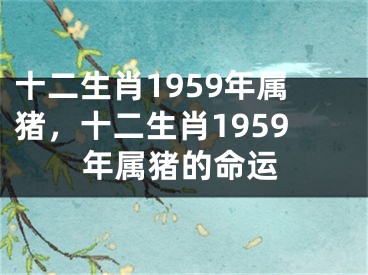 十二生肖1959年属猪,十二生肖1959年属猪的命运