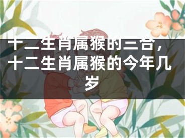 十二生肖属猴的三合,十二生肖属猴的今年几岁
