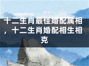 十二生肖最佳婚配属相,十二生肖婚配相生相克