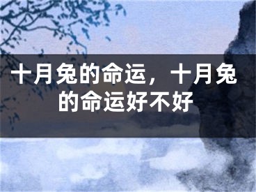 十月兔的命运,十月兔的命运好不好
