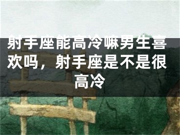 射手座能高冷嘛男生喜欢吗，射手座是不是很高冷