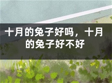 十月的兔子好吗,十月的兔子好不好
