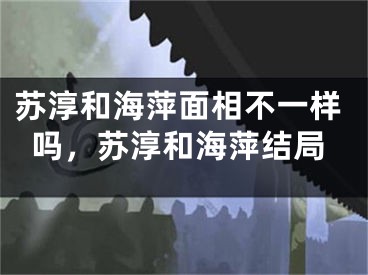苏淳和海萍面相不一样吗，苏淳和海萍结局