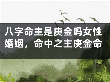 八字命主是庚金吗女性婚姻,命中之主庚金命