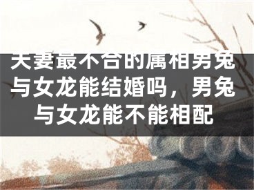 夫妻最不合的属相男兔与女龙能结婚吗,男兔与女龙能不能相配