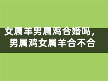 女属羊男属鸡合婚吗，男属鸡女属羊合不合