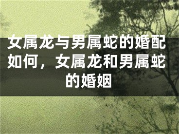女属龙与男属蛇的婚配如何，女属龙和男属蛇的婚姻