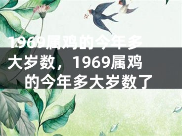 1969属鸡的今年多大岁数，1969属鸡的今年多大岁数了