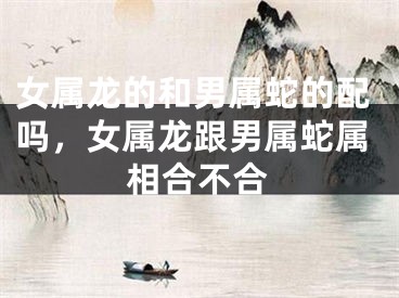 女属龙的和男属蛇的配吗，女属龙跟男属蛇属相合不合