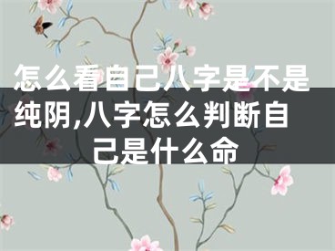 怎么看自己八字是不是纯阴,八字怎么判断自己是什么命