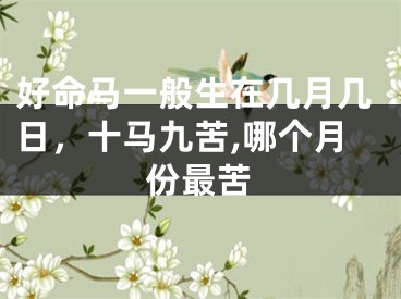 好命马一般生在几月几日,十马九苦,哪个月份最苦