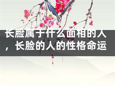 长脸属于什么面相的人，长脸的人的性格命运