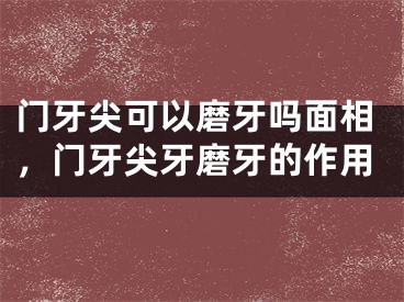 门牙尖可以磨牙吗面相，门牙尖牙磨牙的作用
