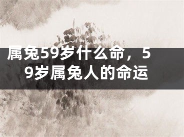 属兔59岁什么命，59岁属兔人的命运