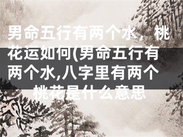 男命五行有两个水,桃花运如何(男命五行有两个水,八字里有两个桃花是什么意思