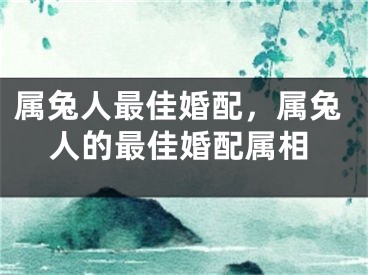 属兔人最佳婚配,属兔人的最佳婚配属相